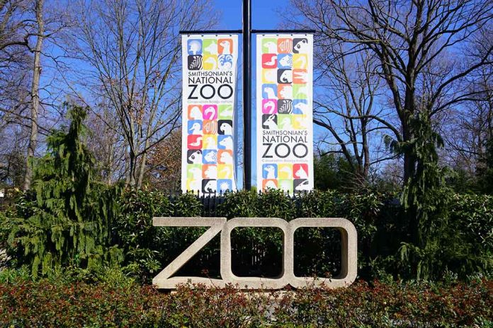 Zoo