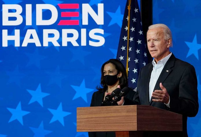 Top Biden Strategist Anita Dunn Joins Harris Campaign, Signaling Shift in Democratic Power