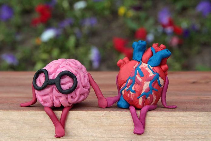 A Brain and a Heart Made of Clay