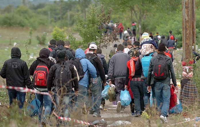 Illegal Immigrants Walking