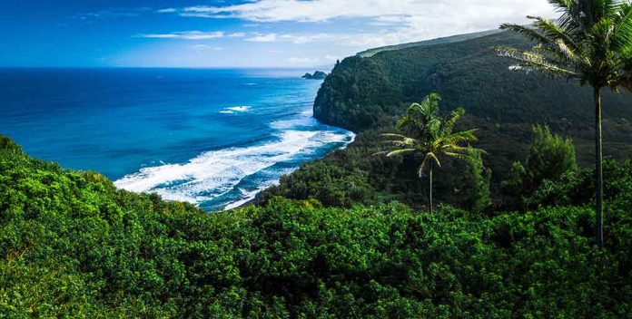 Beautiful coastal landscape with lush greenery and ocean waves.