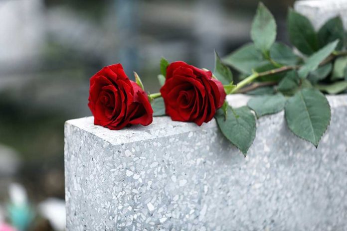 Red roses on a gray stone surface.