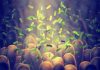 Green bacteria among intestine lining cells microscopic view