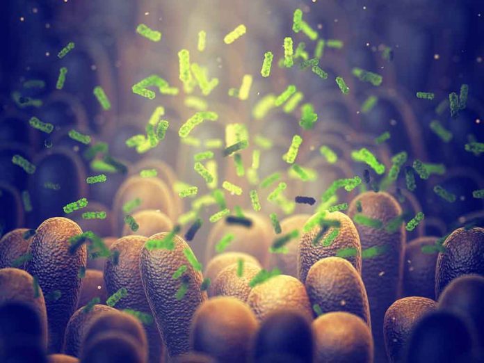 1495084595 featured image Green bacteria among intestine lining cells microscopic view