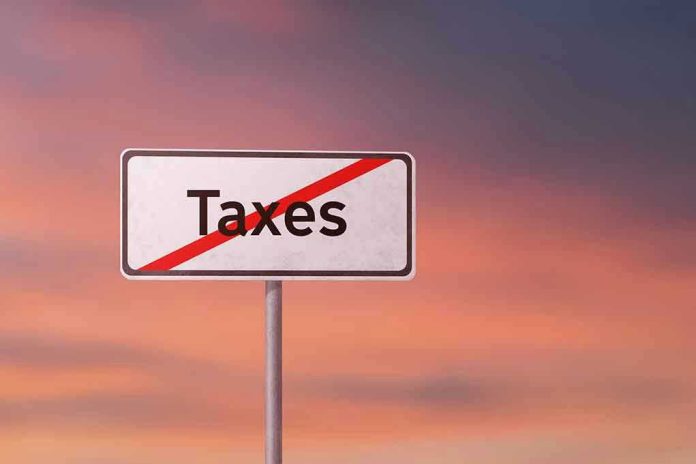 1135828310 taxes