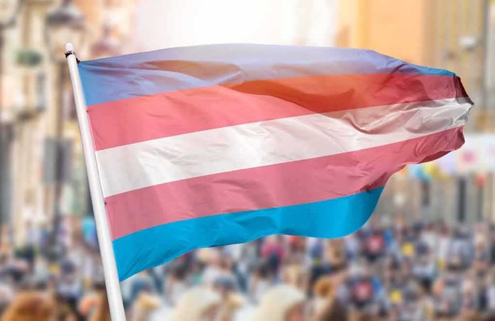 Transgender pride flag waving at outdoor event