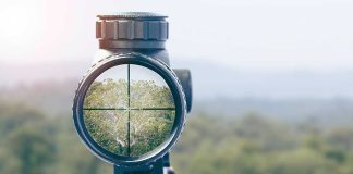 Rifle scope aiming at a distant tree
