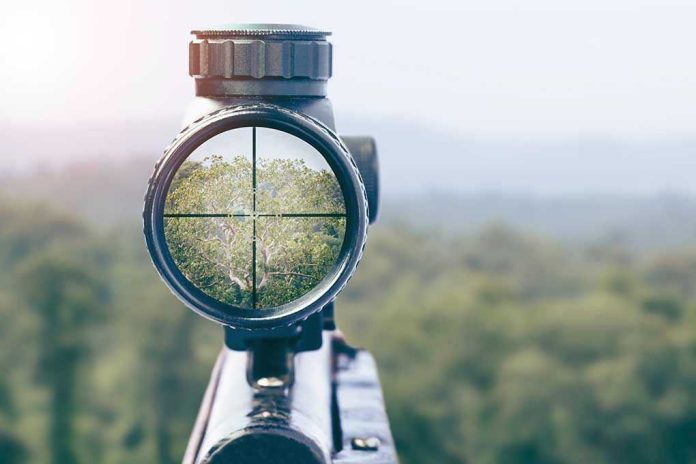 Rifle scope aiming at a distant tree