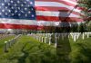 veteran