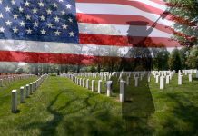 veteran