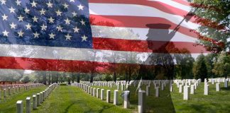 veteran