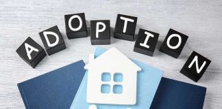Adoption blocks, books, house, and family paper cutouts.