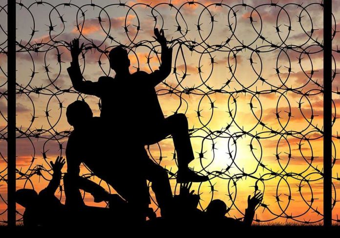Silhouettes of people climbing barbed wire fence.