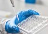 SHOCKING Discovery — Blood Reveals Invisible Cancers Gloved hand pipetting liquid into a tray.