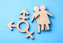 Transgender Sports BOMBSHELL Rocks Maine Schools Wooden transgender symbol and couple figures on blue background.
