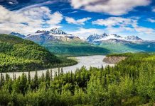 River winding through forest with mountains in background.