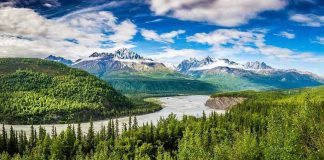 River winding through forest with mountains in background.