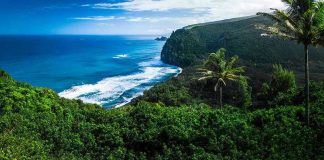 Beautiful coastal landscape with lush greenery and ocean waves.