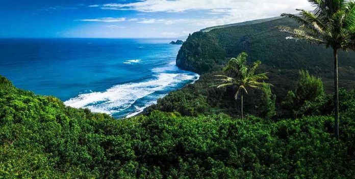 Beautiful coastal landscape with lush greenery and ocean waves.