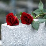 American Director and Son KILLED Mid-Zipline Red roses on a gray stone surface.