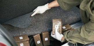 Christmas Gifts HIDING Pounds Of Drugs Person discovering wrapped packages in a car trunk.