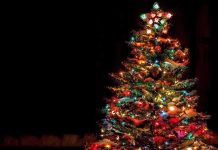 Panicked Deer Turns Christmas Store Into Mayhem A beautifully decorated Christmas tree with colorful lights against a dark background