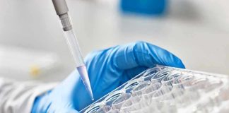 Gloved hand pipetting liquid into a tray.