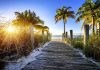 Wooden pathway leading to a beach with palm trees and a sunset