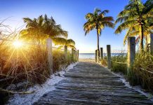 Wooden pathway leading to a beach with palm trees and a sunset