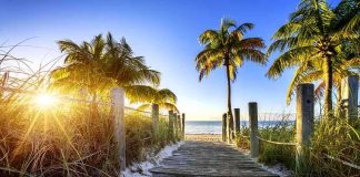 Wooden pathway leading to a beach with palm trees and a sunset