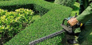A gardener using a hedge trimmer on a bush