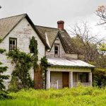 7-Foot Monster Abandoned By Owners An abandoned house surrounded by overgrown grass and trees