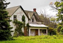 An abandoned house surrounded by overgrown grass and trees