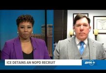 Immigration Attorney Reacts To News ICE Has Detained An