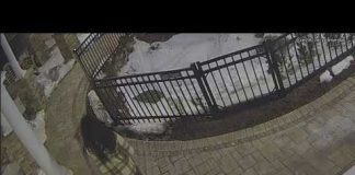 Montgomery County police release video of suspect in