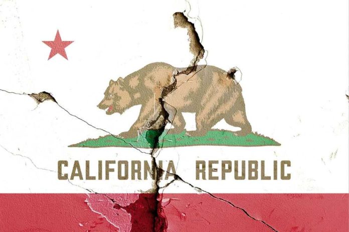Cracked California Republic flag on a wall.