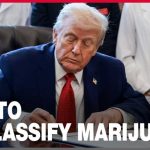 U.S. set to reclassify marijuana