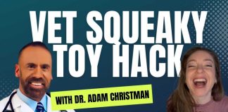 The Vet Hack That Changes Doodle Vet Visits Forever (Plus Live Q&A) | Dr. Adam Christman Part 2