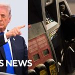 Trump says he aims to temporarily suspend federal gas tax