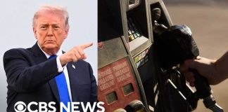 Trump says he aims to temporarily suspend federal gas tax