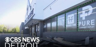 Investigators search for suspects who crashed SUV into Michigan dispensary
