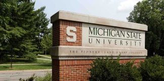 Degrees Useless? Musk Sparks Intense Debate Sign for Michigan State University surrounded by greenery