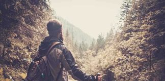 SKEWERED Nurse Walks 10 Miles OUT! A hiker standing in a forest, looking at a scenic view of mountains and trees