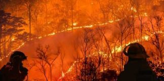 TERRIFYING Wildfire Trap — VIDEO HERE… Firefighters observing intense forest wildfire at night