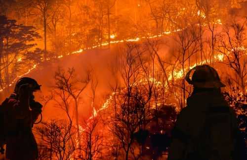 wildfire-california2313830483 Firefighters observing intense forest wildfire at night