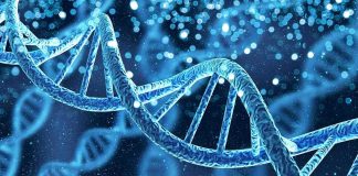 DNA double helix with glowing particles