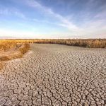 LARGEST RESERVOIR in FREEFALL — Power Grid On Edge A dry, cracked landscape with sparse grass and a blue sky
