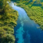 Aerial view of a clear blue river winding through lush green vegetation