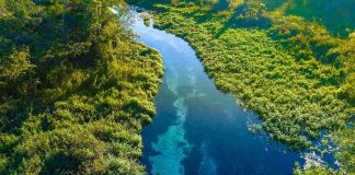 Aerial view of a clear blue river winding through lush green vegetation