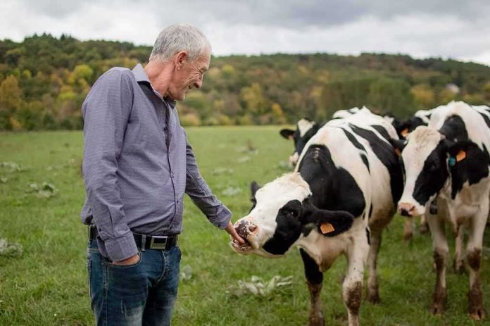 shutterstock_1022452069 Man petting a black-and-white cow in a grassy field